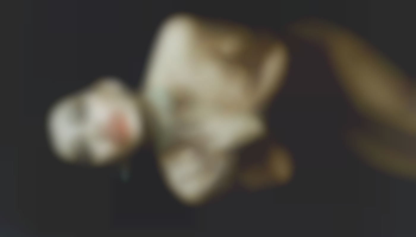 Redécouvrir la romance sans contrainte : est-ce possible ?